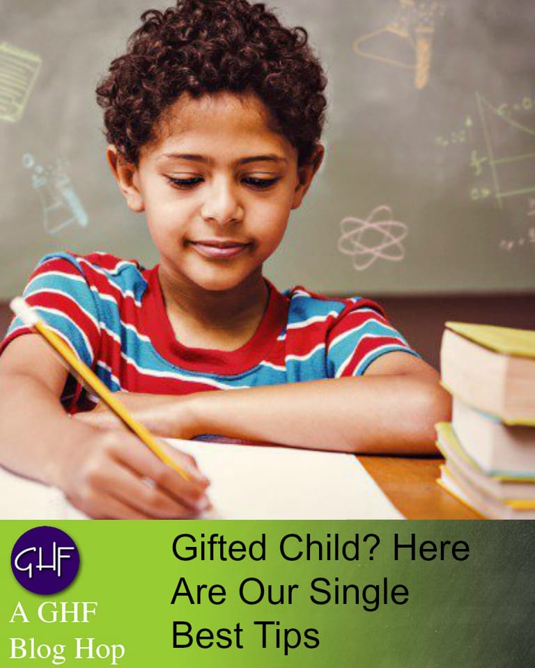 problems of being gifted book